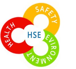 Image result for HSE